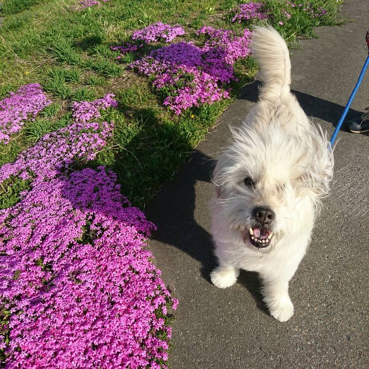 1b1c1d25 44b8 4d68 837d ff5724995971