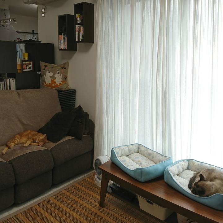 1b1c353a 8ecc 4de3 8eaa 3016a93b0ec2