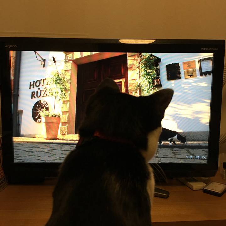 1b1d5daf 109a 4f0c 963a b2c71ca7fd83