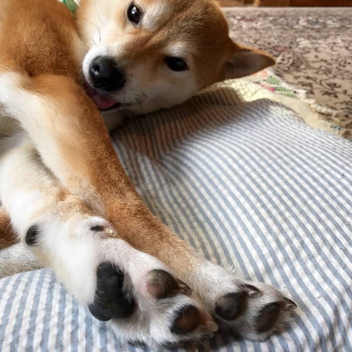 1b1df57c 1f1b 4a49 a9d7 ef7727029d1a