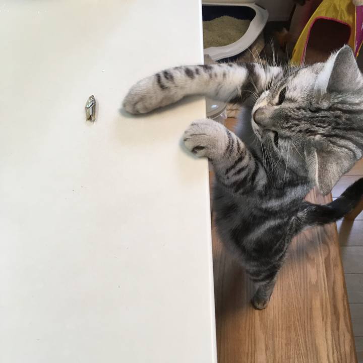 1b1e802f ca68 43e8 888c fd5346c5ddd8