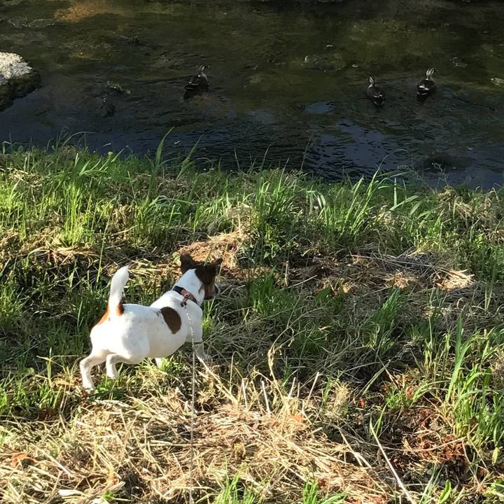 1b1ea152 7b72 4e55 8767 f66ae222e447