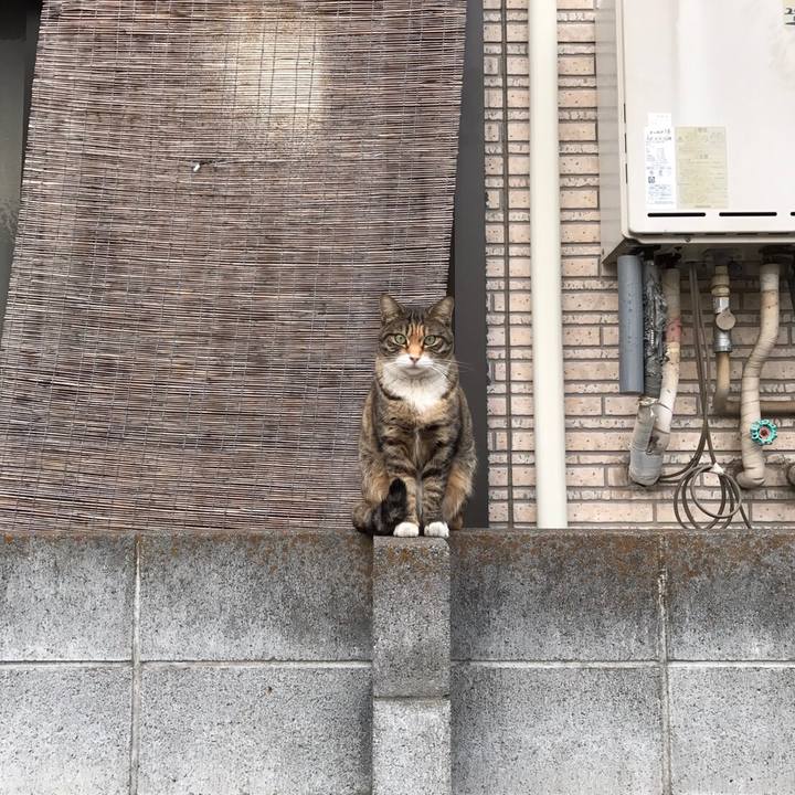 1b1f8709 cce2 4f2d b1cb 29966142ffaa