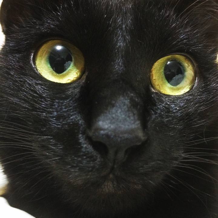 1b212ab4 e45d 45ec 8fe3 c77a8de87bbf