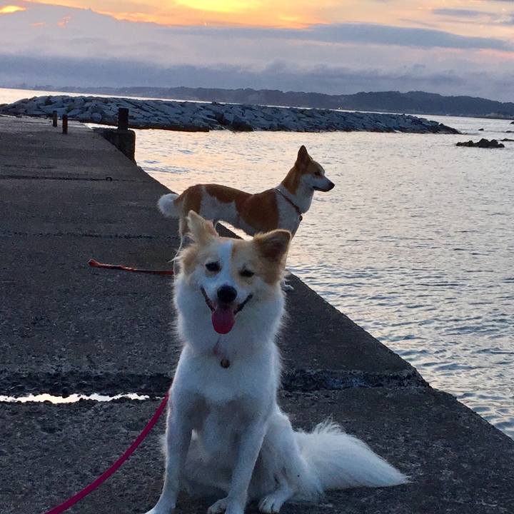 1b21417c 7447 442d 89a7 1fd7ab391518