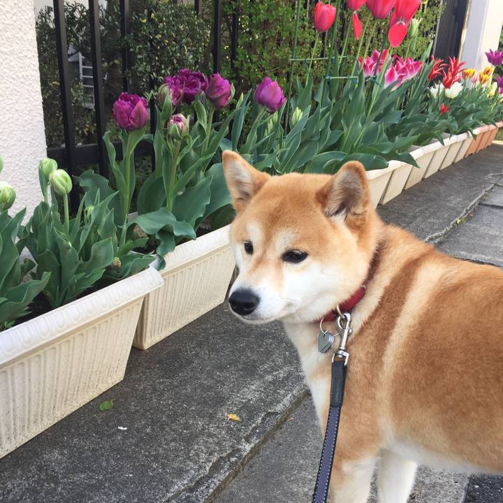 1b216cad 0a84 45d0 bdb8 5a54963848c7