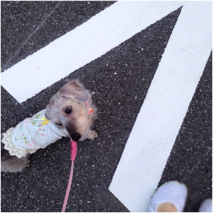 1b220536 cc27 4fd0 8991 9d84412f1fe7