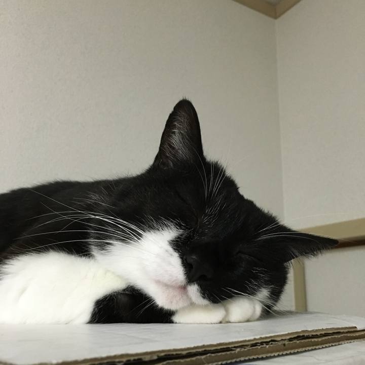 1b2312c8 c305 46f0 b3d2 490d480885ea