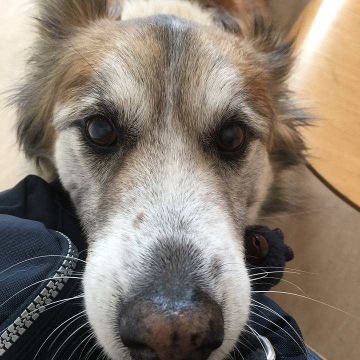 1b23a2f4 3120 4256 b999 d60b0732c6ff