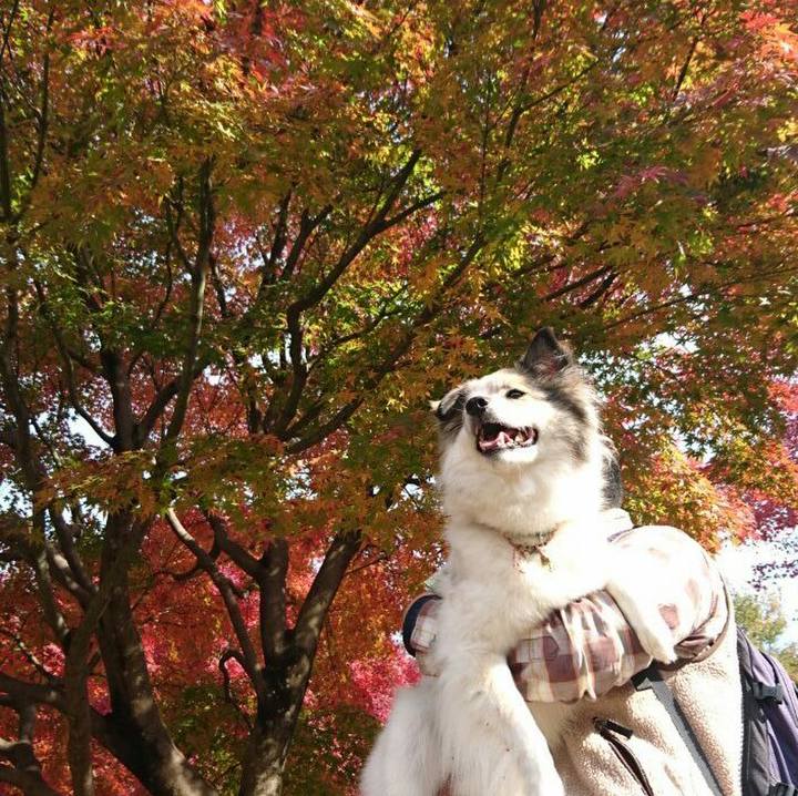 1b240327 6e19 456f abf5 9d46d36c2c35