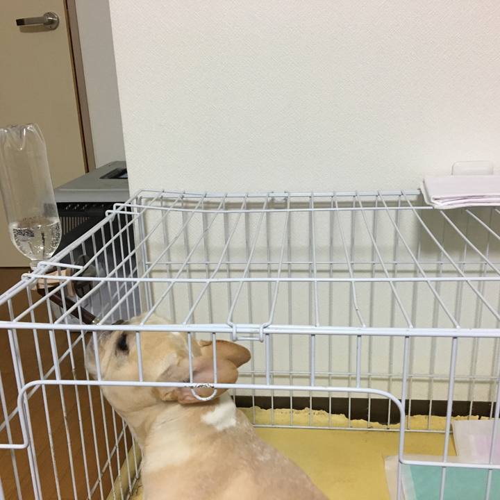 1b241533 2fe5 41ff b8bd 9adc2fefd2cd