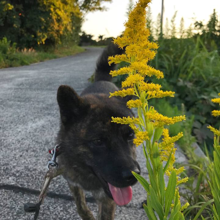 1b24e4be 5743 4f63 b010 29eef62db333