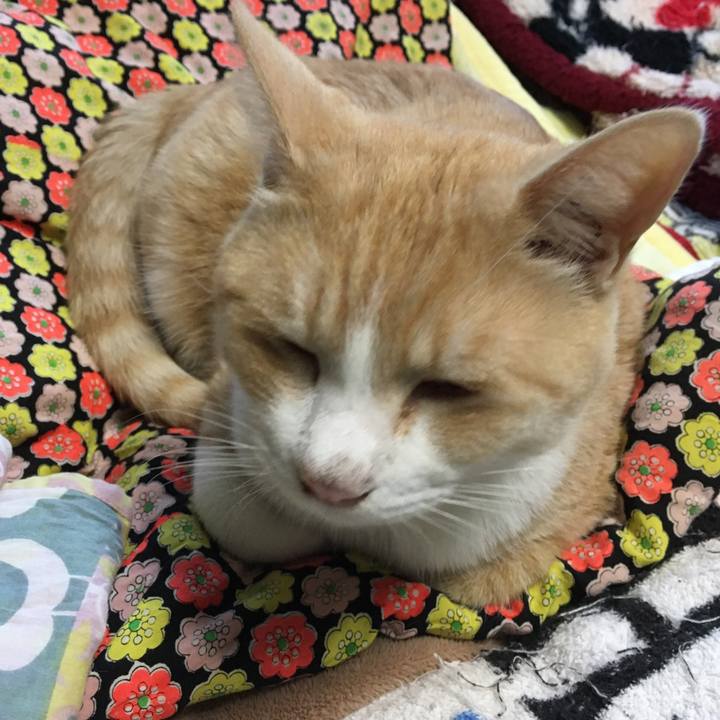 1b24eb17 3e43 473e 8b4f aa03b75f38c0