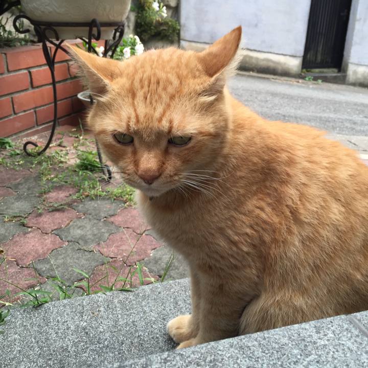 1b24ffae 1653 4a7f a5ab 837ac7e85f42