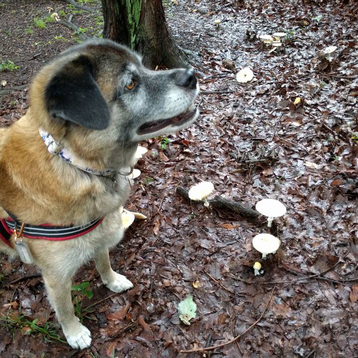 1b2512fc 0f82 450e 8e87 7161839d7177