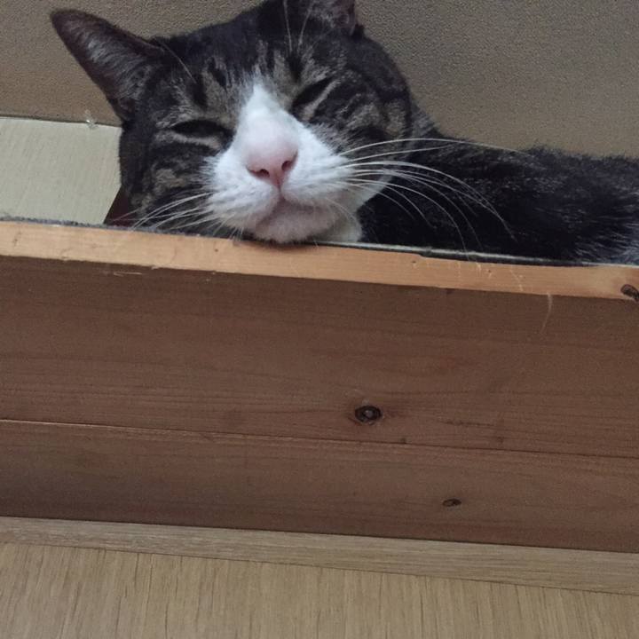 1b251c58 a508 4915 987a d8dcba0c63d8