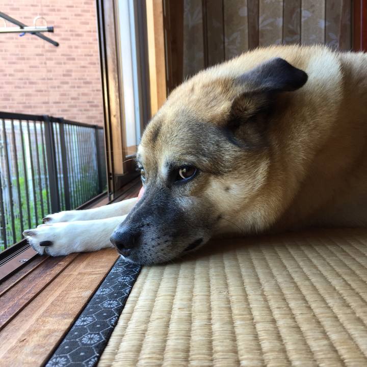 1b254908 094e 4d52 897e 2205710b867a