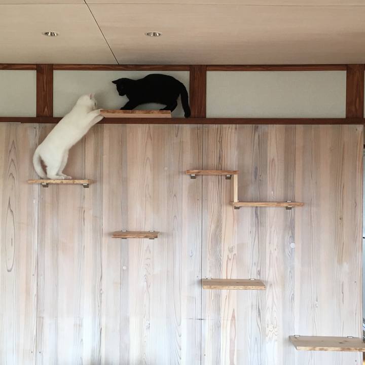 1b259147 8ddd 4aeb ae2c a9fd4dd6a085