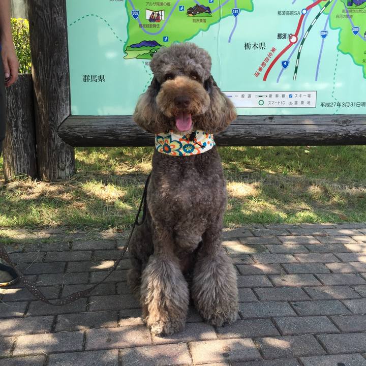 1b25de10 05a2 48a3 b237 6af102f80dcd