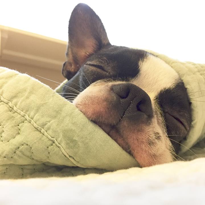 1b25df59 7524 4fe2 8e98 04d4802a649c