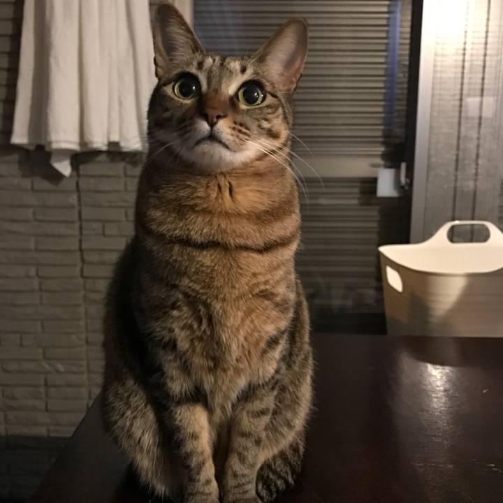 1b267858 cdc8 4249 a825 b3043b286804