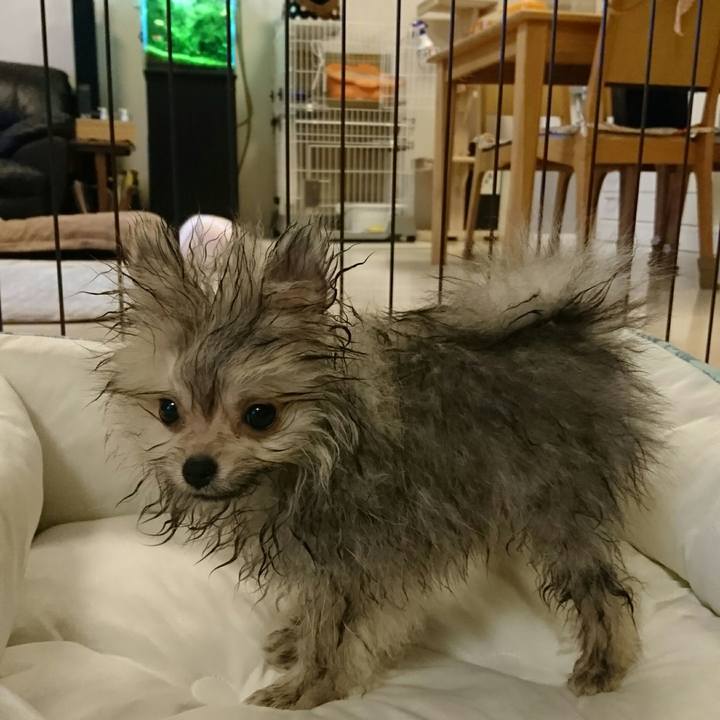 1b27452b fd10 47a4 957f 3f79a0cb4a27