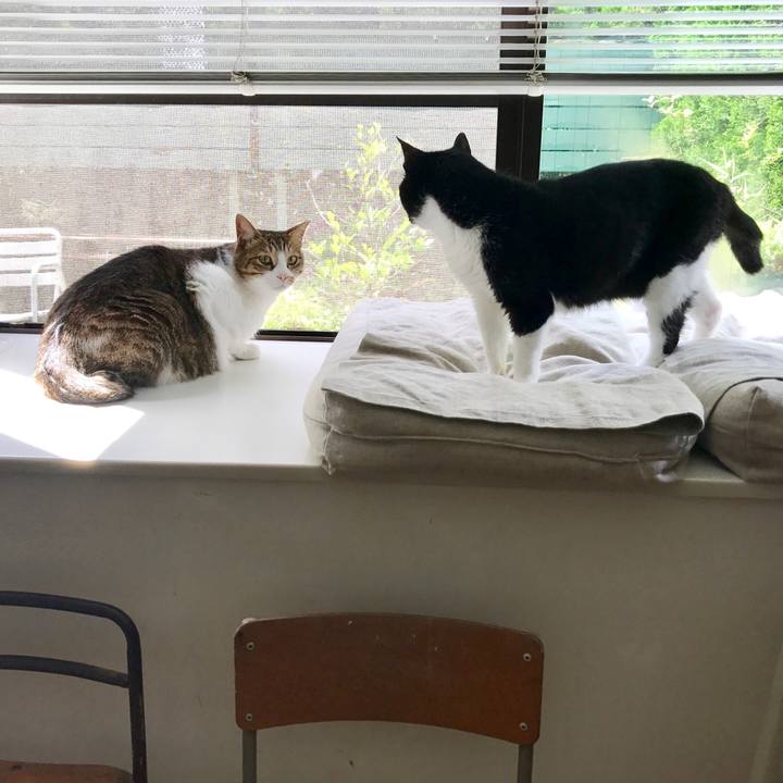 1b2771f6 4e30 42b8 9644 d23a3d9d6539