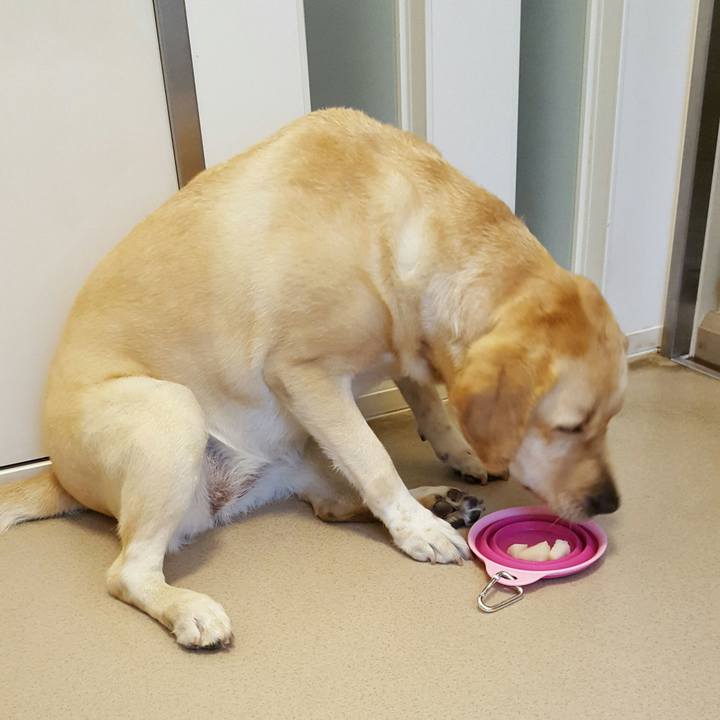 1b27b403 f5ef 4e70 af0b 622d7e199fd6