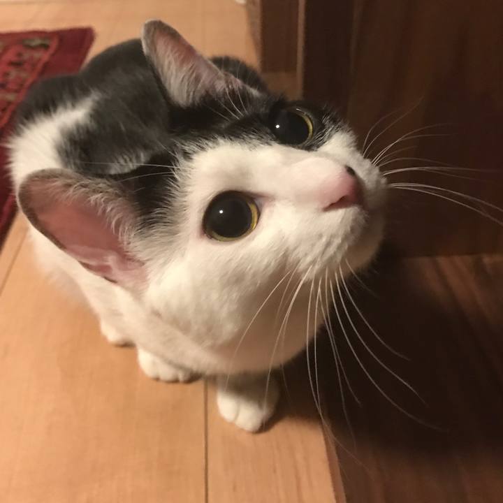 1b27bed0 6b52 4658 adce 59f1b5d4fd31