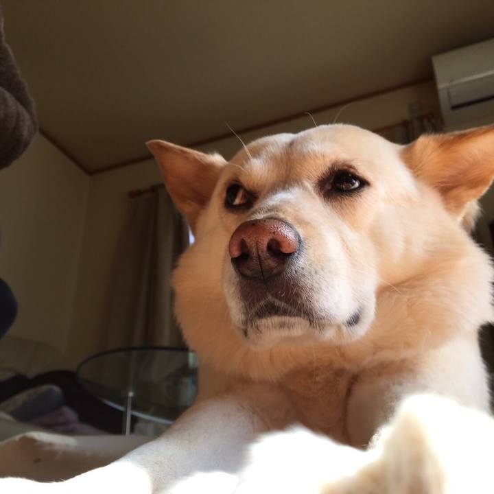 1b28657a 9b90 4abd a996 c7e6dc072e75