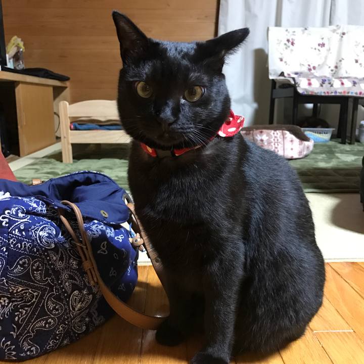 1b2879ab 0db5 4c57 9a4a 2d1797c89c4e