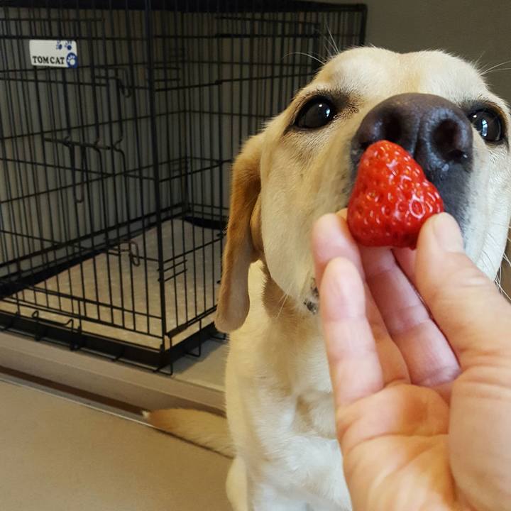 1b28fd6b 5a67 4596 b63c efc32d571357