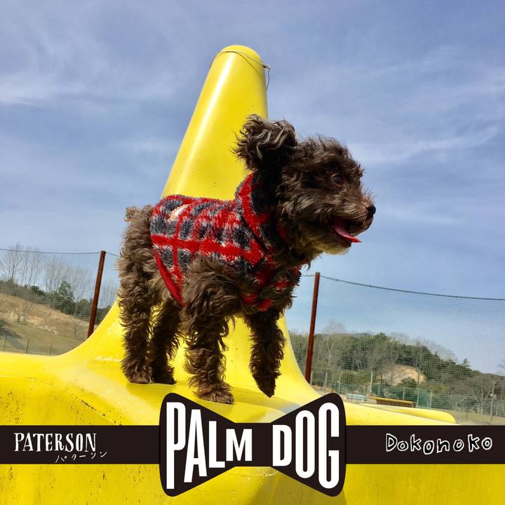 1b291d3a 845f 4d51 ab54 869952ffedc5