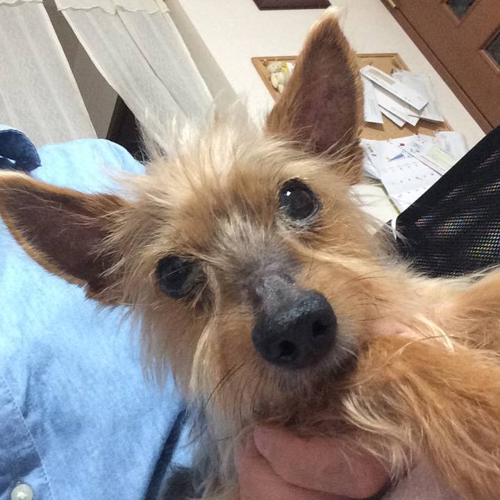 1b291fb1 a662 41c3 b798 9a7474b797ad