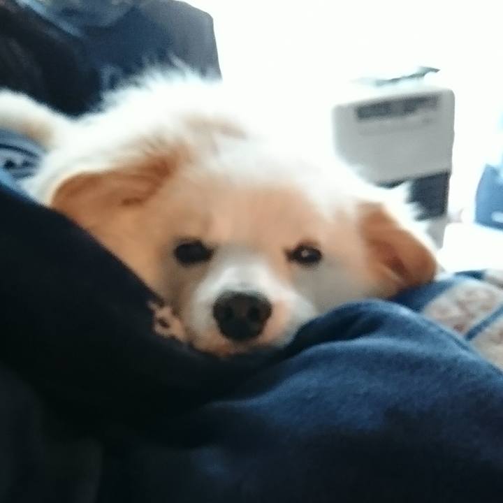 1b29e92b 59bc 41ed a60e 24afc873109d