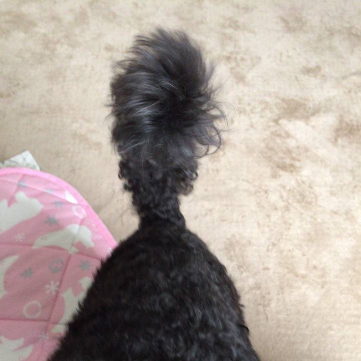 1b2a6177 3a40 45fe 8618 f4eb43013de5