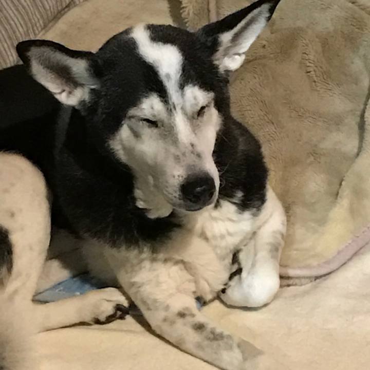 1b2ad442 76c1 445f b571 560f5c1571e6