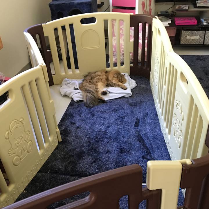 1b2af438 9882 4cfe 843a d4d854737715