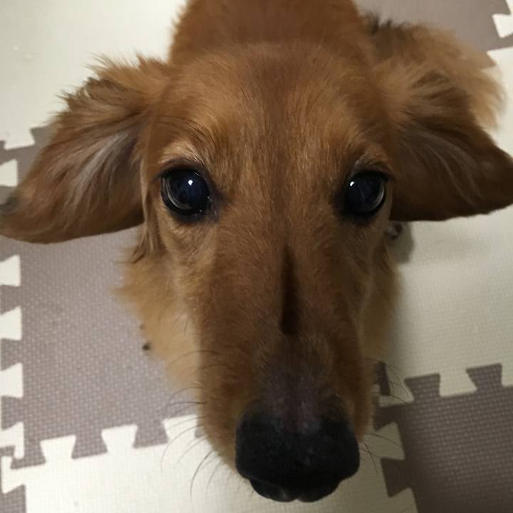 1b2b2bf2 2275 4d54 a14a 7b67f811c41d