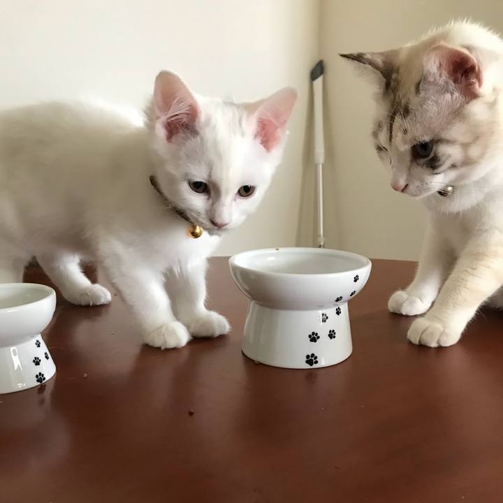 1b2b3368 6041 48e2 b4d7 b07a66c1ef68