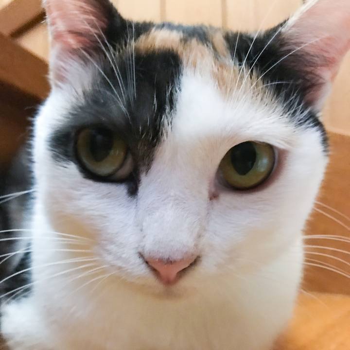 1b2b5a7e 22cb 43c4 bfae ccd4d43d3046