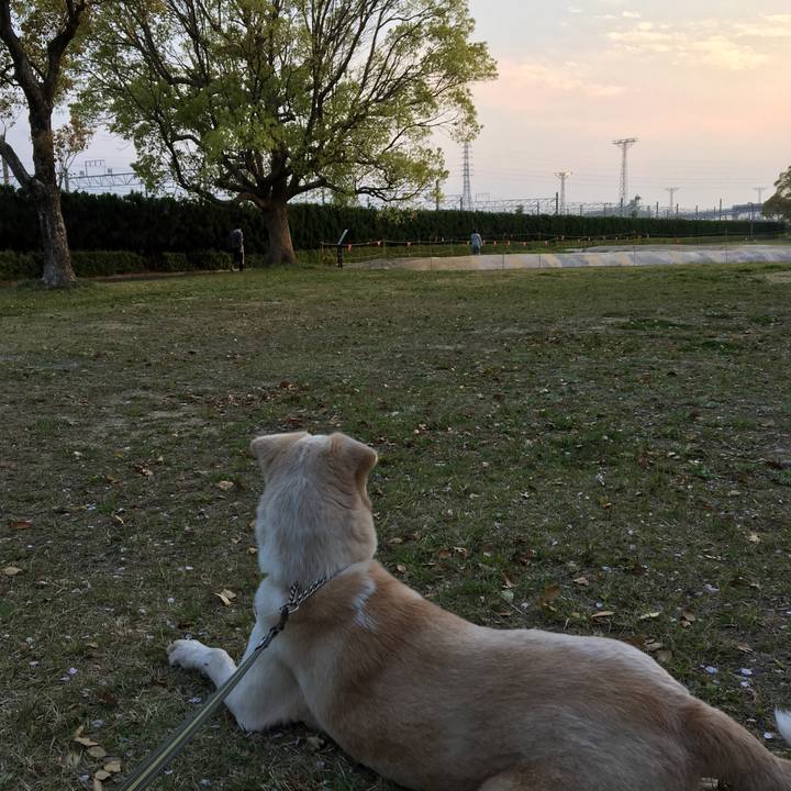 1b2b8fe6 1f35 4157 8119 243f4763e026