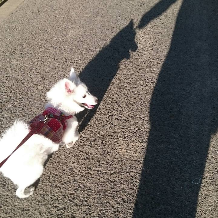 1b2bec38 dbfc 44c1 99c8 ee165fabcf3f