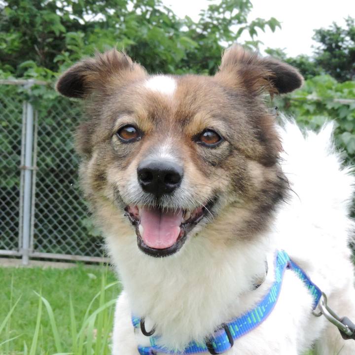 1b2cbf81 c556 4c44 8d3e 0c5c34ce53d5