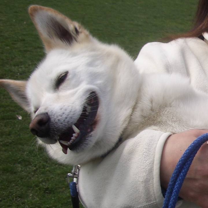 1b2d2115 5a83 4db2 abe3 647fff9ef6be