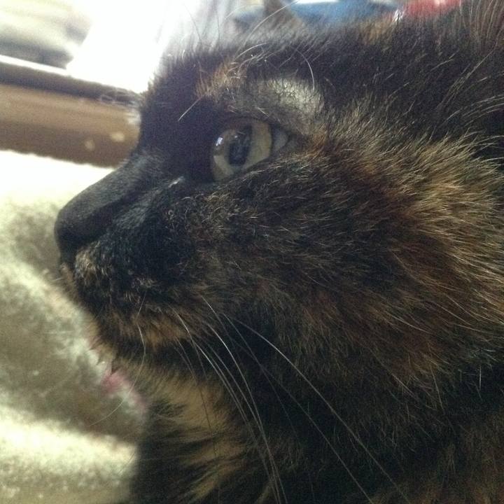 1b2d412f d972 4324 abad 36a04ae47256