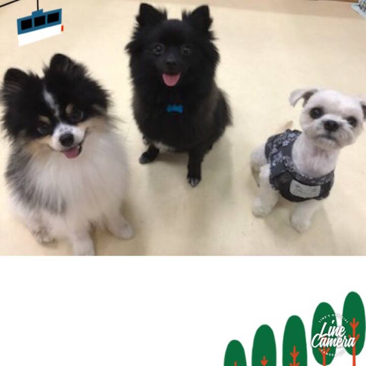 1b2e7738 178a 47e4 b2ec 8500aa894524