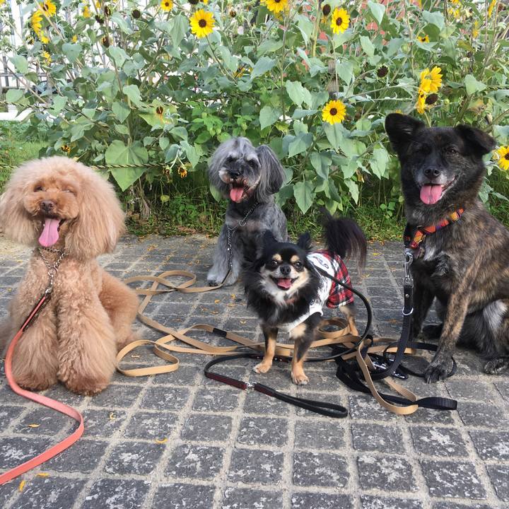 1b2ed3a7 2c58 4fa9 9e86 372356acc01c