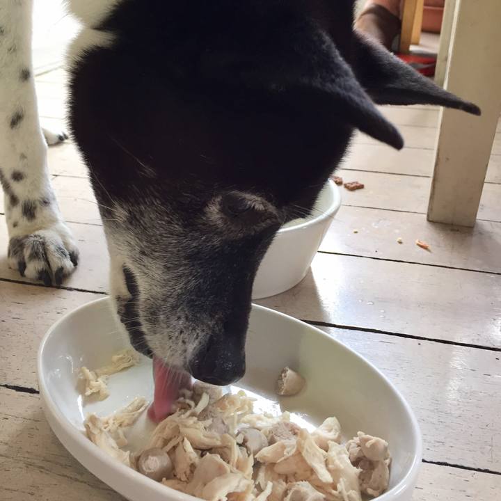 1b2effdf 6835 4b7d 8e52 cda2752634d3