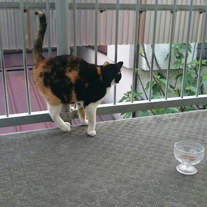 1b2f10bf b199 41a6 9bf6 231aaa961b85